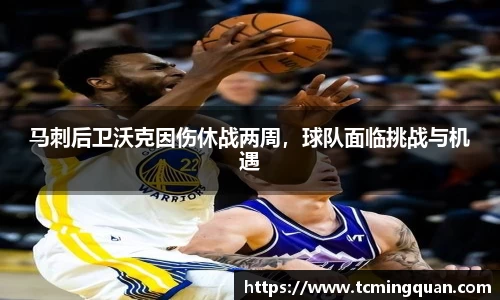 马刺后卫沃克因伤休战两周，球队面临挑战与机遇